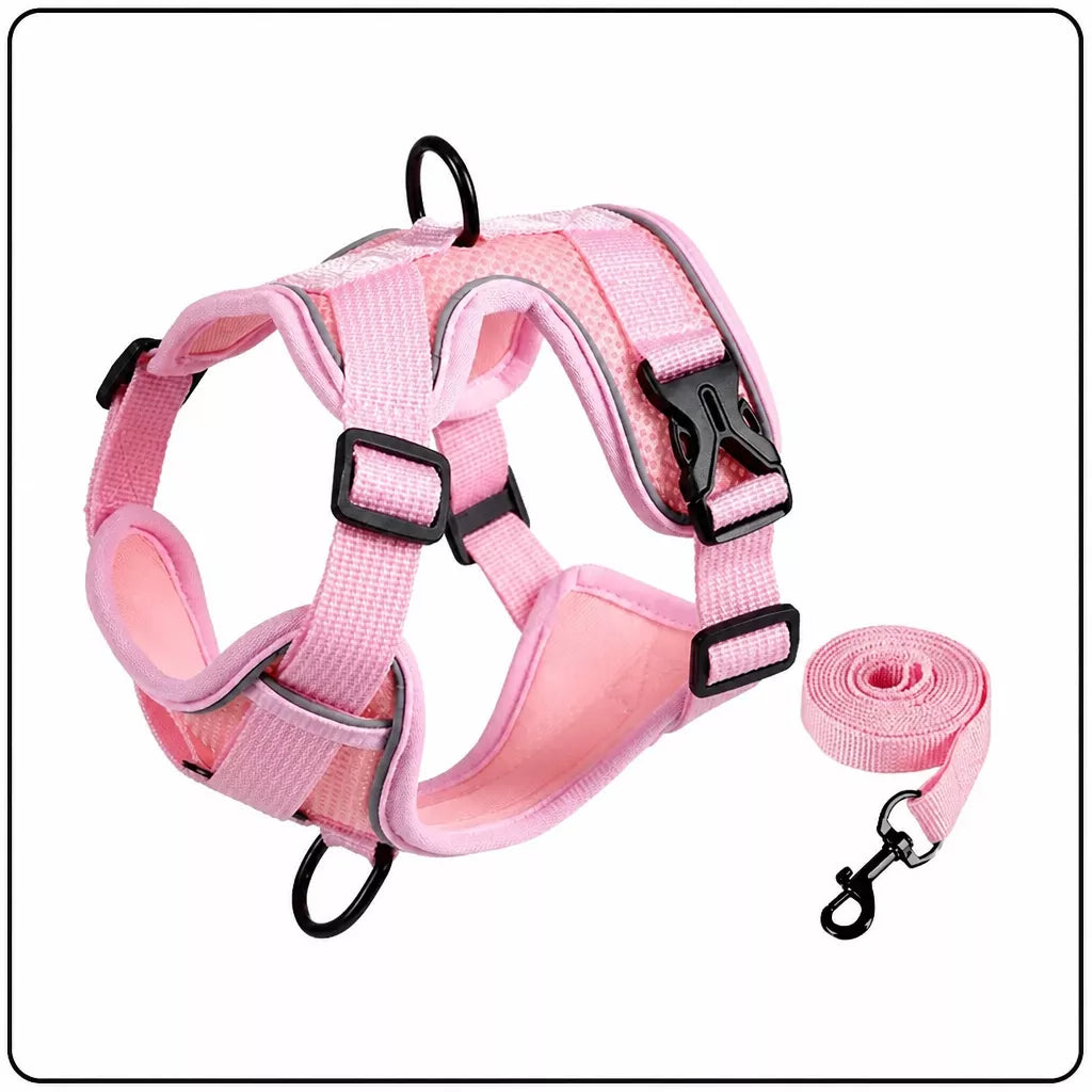 Adjustable Cat Harness and Leash