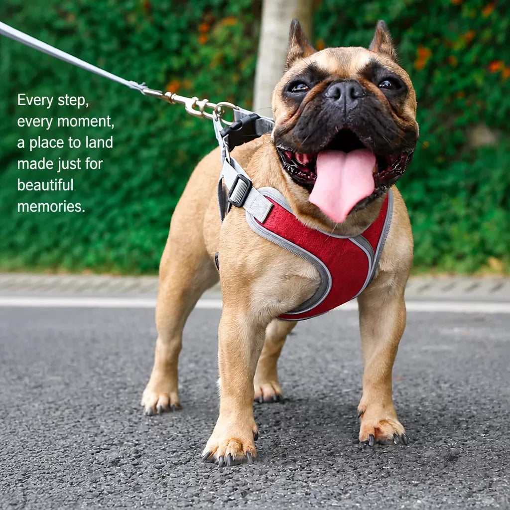Dog Harness and Leash Set for Small to Medium Dogs