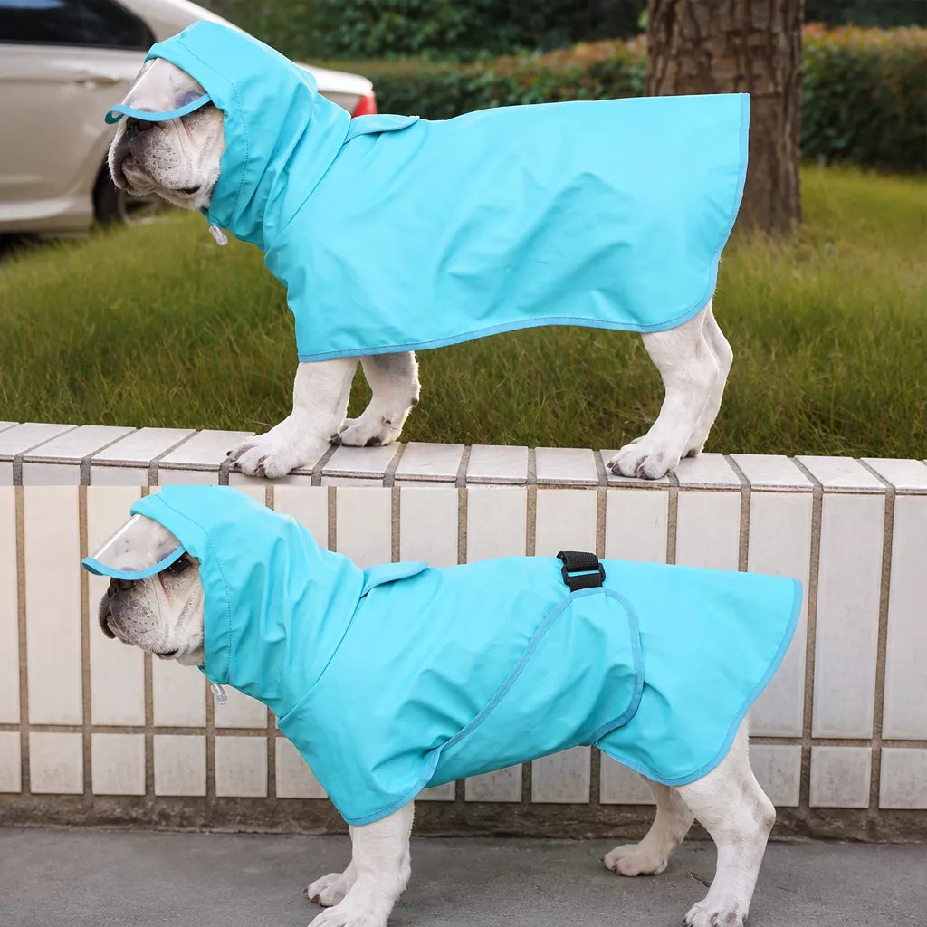 Dog Raincoat for Rainy-Day Walks