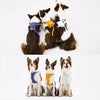 Nylon Harness with Integrated Retractable Leash for Dogs