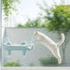 Cat Window Hammock with Suction Cup Mounts