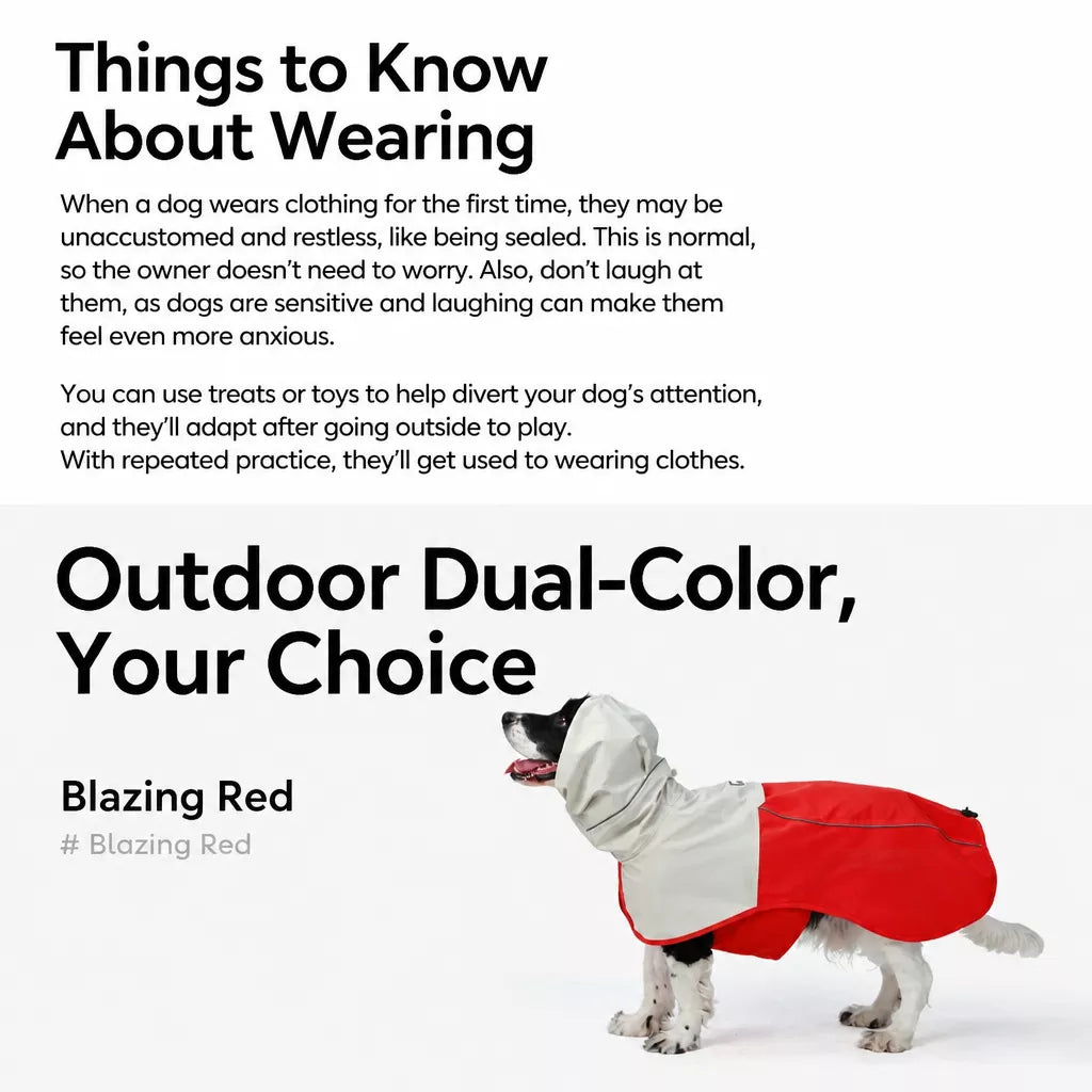 Two-Piece Dog Rain Suit