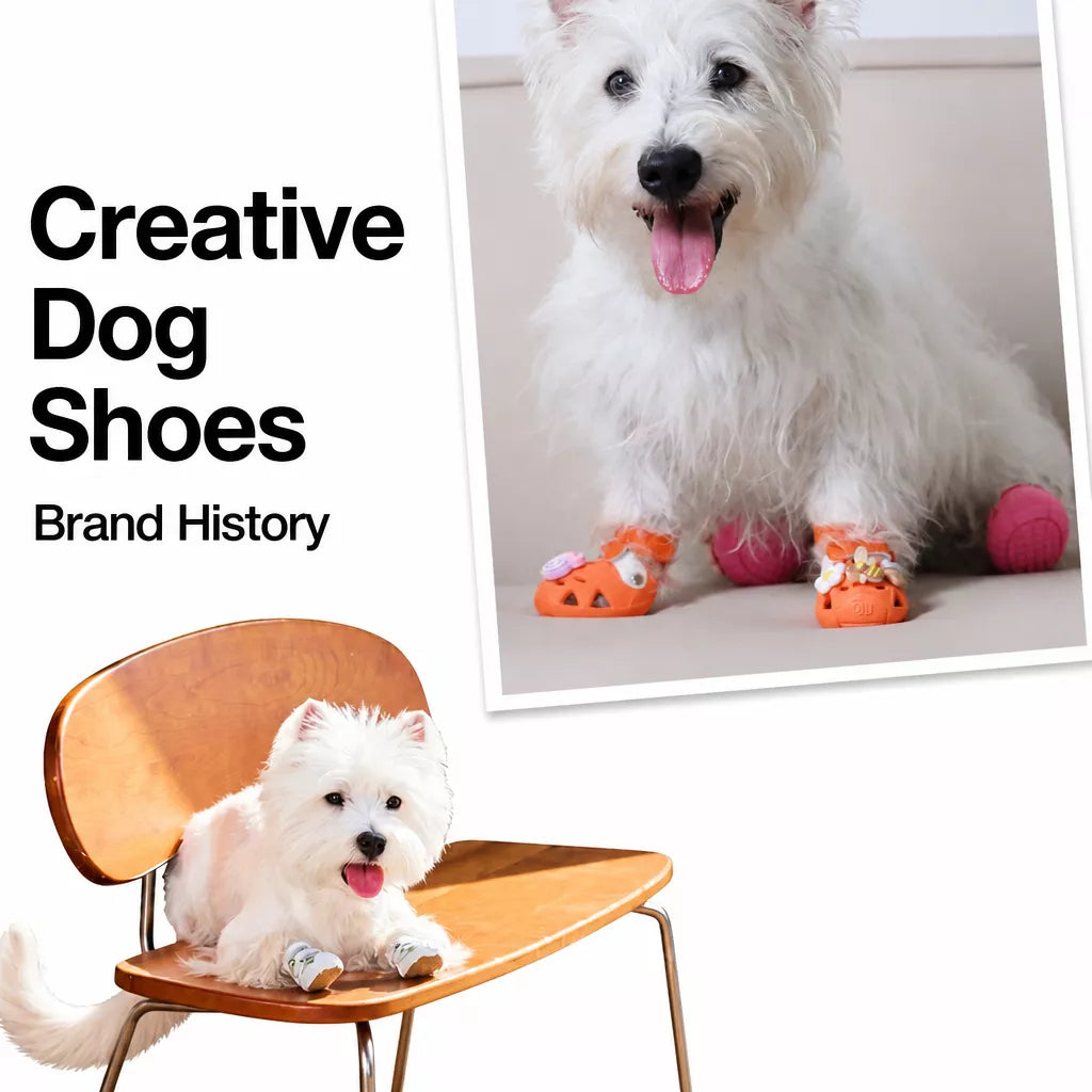 Dog Clog-Style Shoes for Outdoor Walks