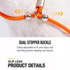 All-in-One Dog Collar and Leash