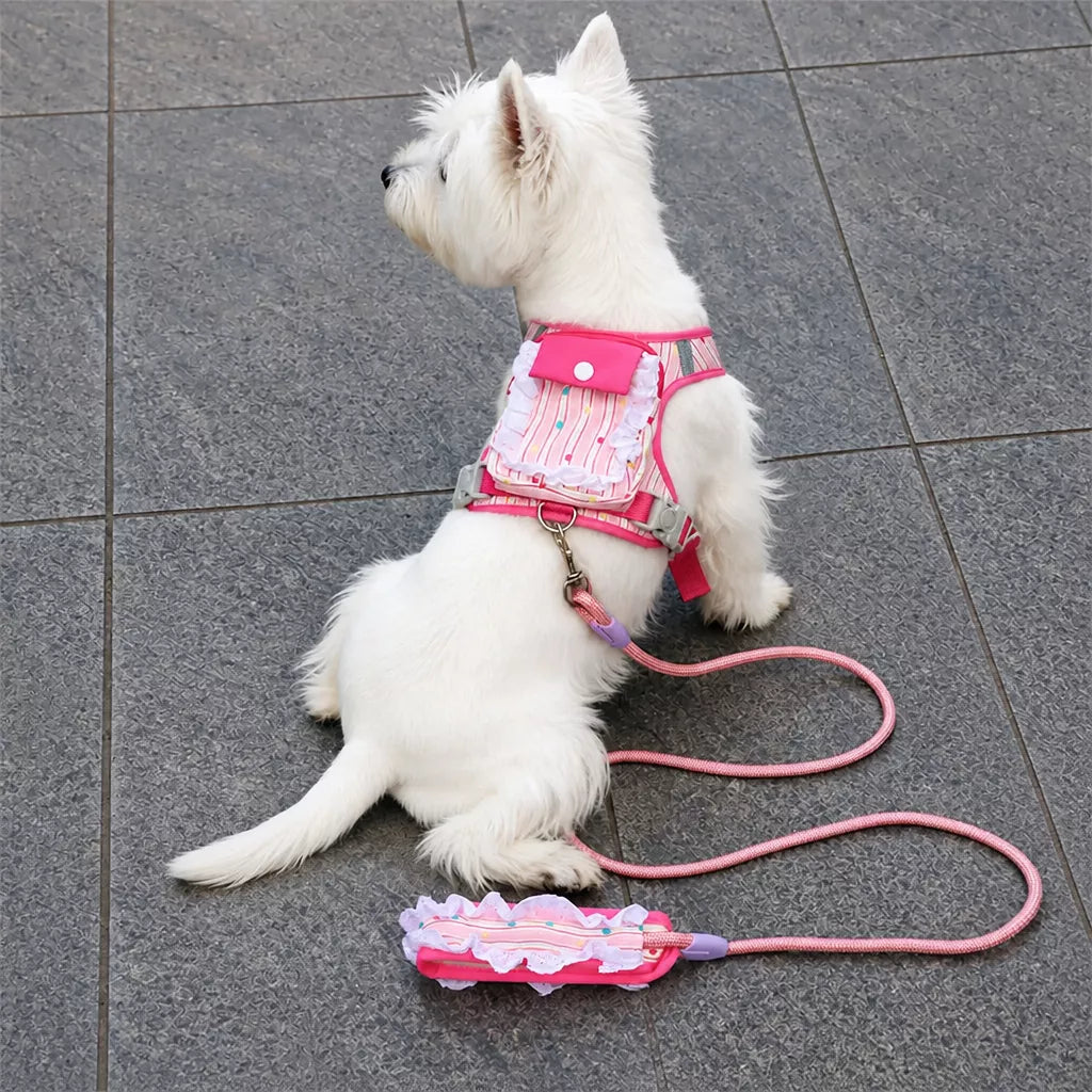 Vest-Style Harness and Leash Set for Small to Medium Dogs