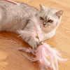 5-Piece Feather Cat Toy Set with Bells