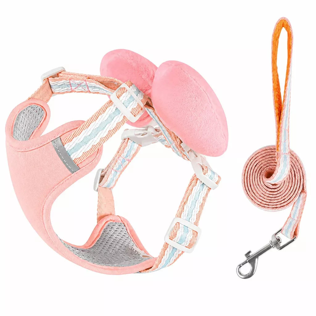 Small Dog Harness & Leash