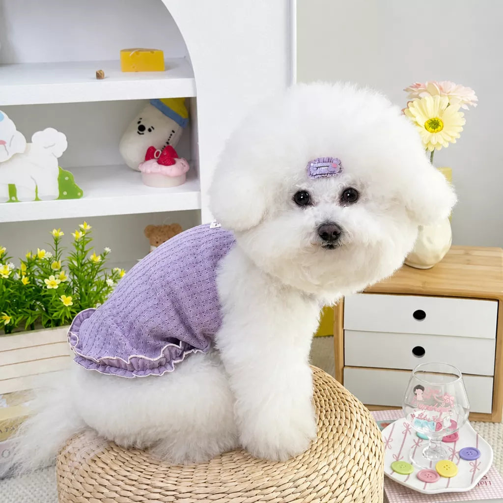 Pet Harness Vest for Small Dogs and Cats