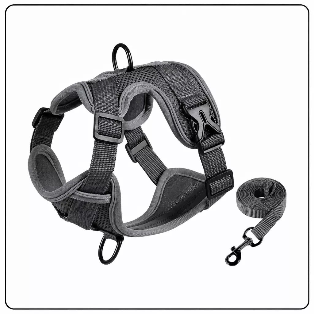 Adjustable Cat Harness and Leash