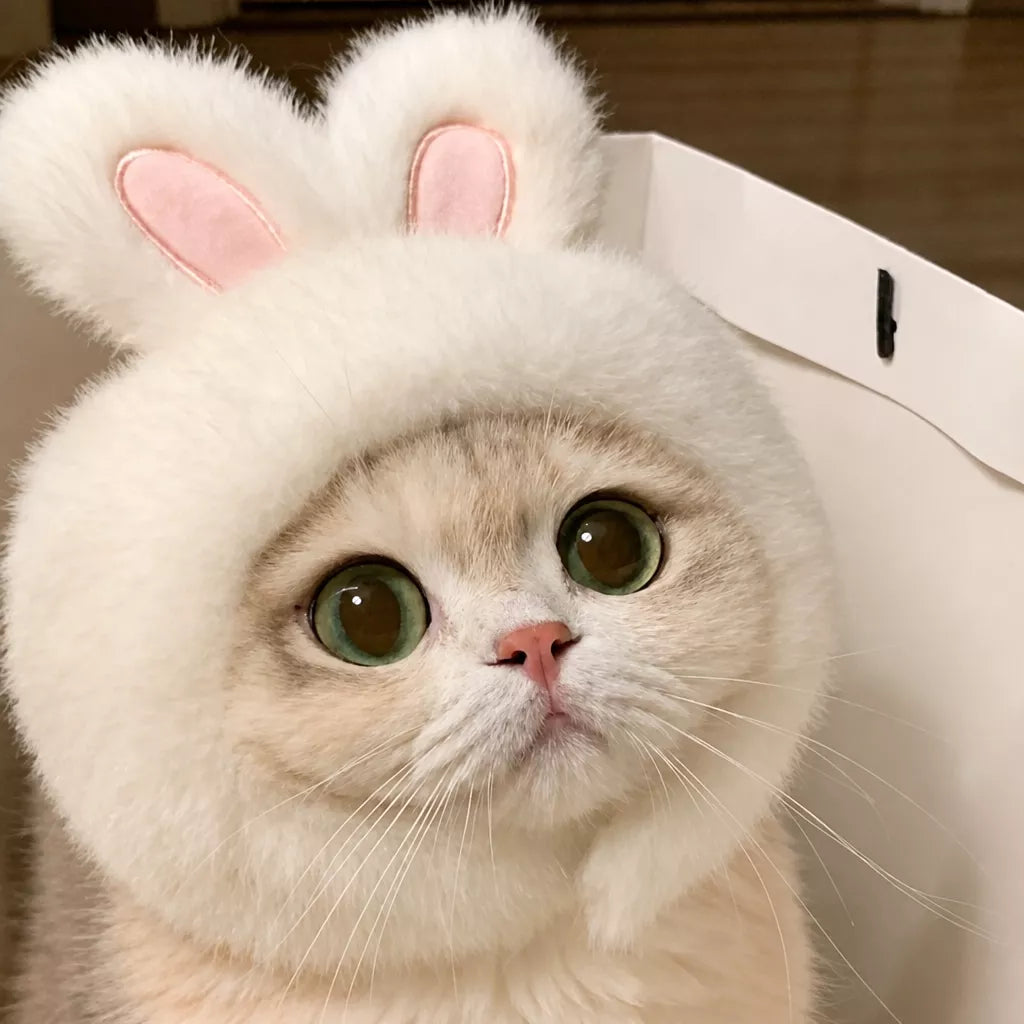 Character Pet Costume Hats for Cats and Dogs