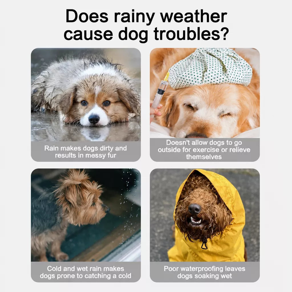 Hooded Reflective Dog Raincoat