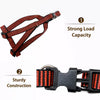 Adjustable Nylon Dog Harness and Leash Set for Everyday Walks