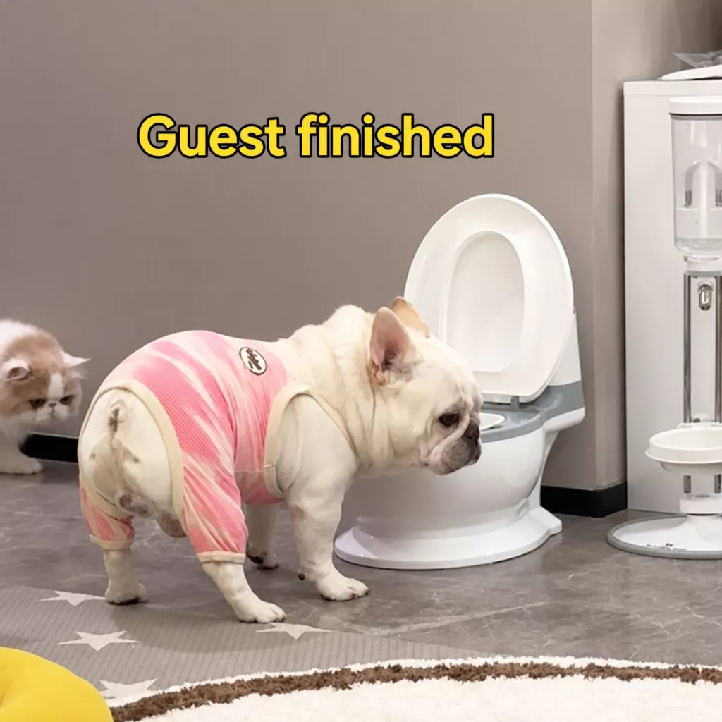 Wide-Mouth Toilet-Shaped Plastic Water Bowl for Cats