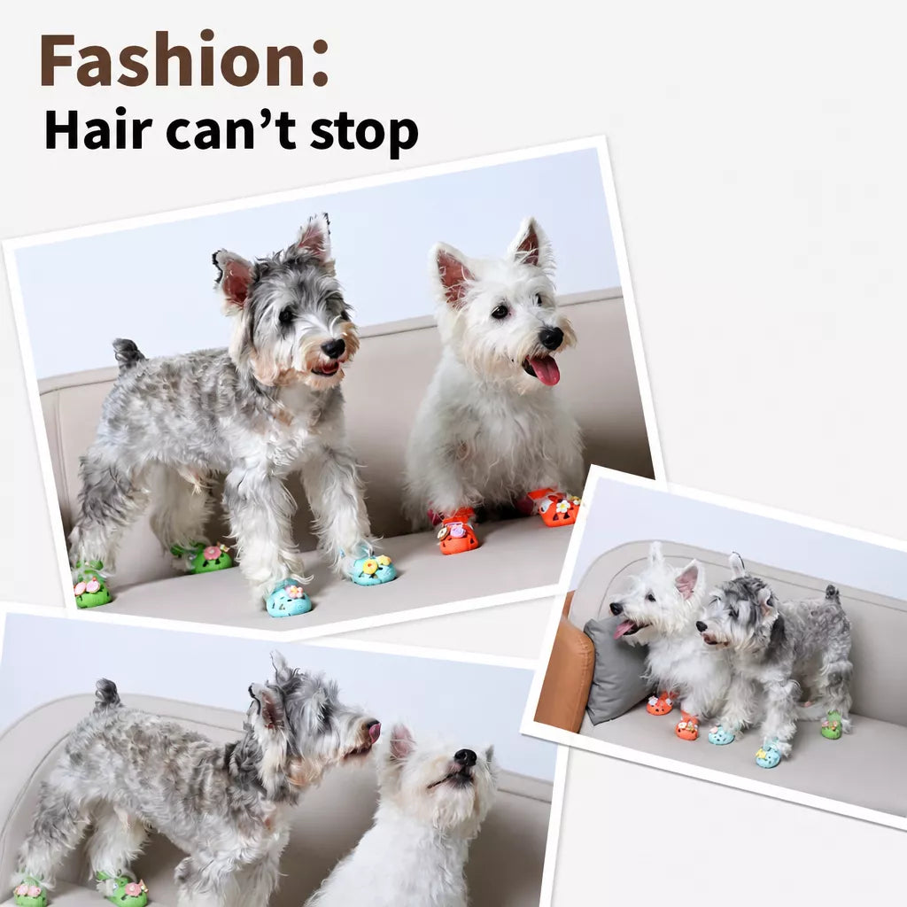 Dog Clog-Style Shoes for Outdoor Walks