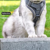 Reflective Cat Harness and Leash Set with Nylon Rope