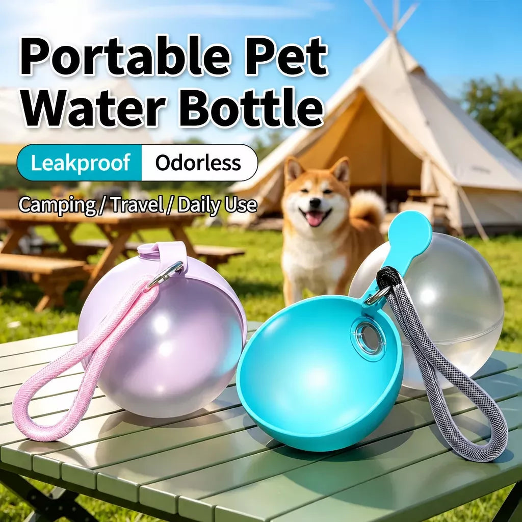 Portable Pet Water Bottle with Foldable Silicone Bowl