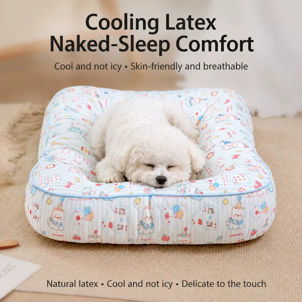 Washable Small Dog Bed