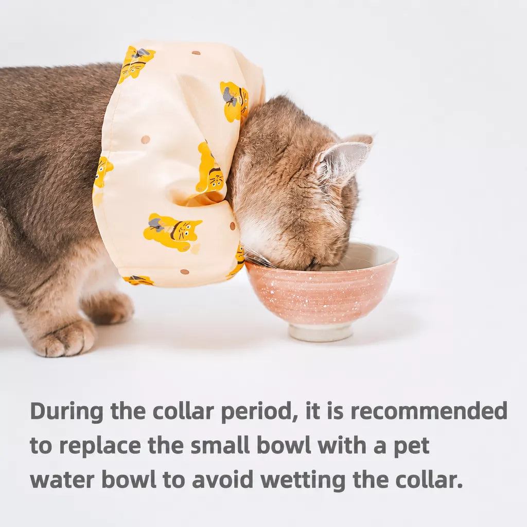 Adjustable Cat & Dog Cone Collar with Maneki-Neko Print