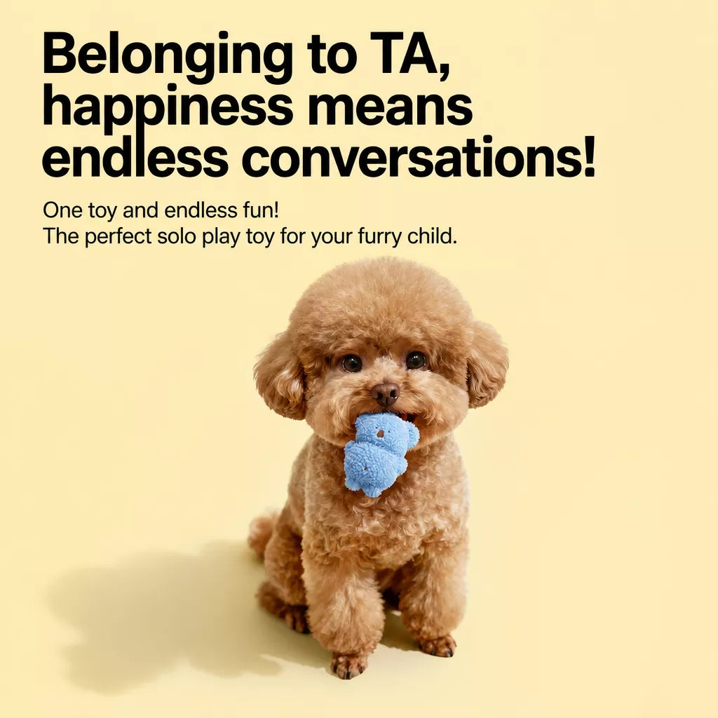 Plush Squeaky Dog Toy