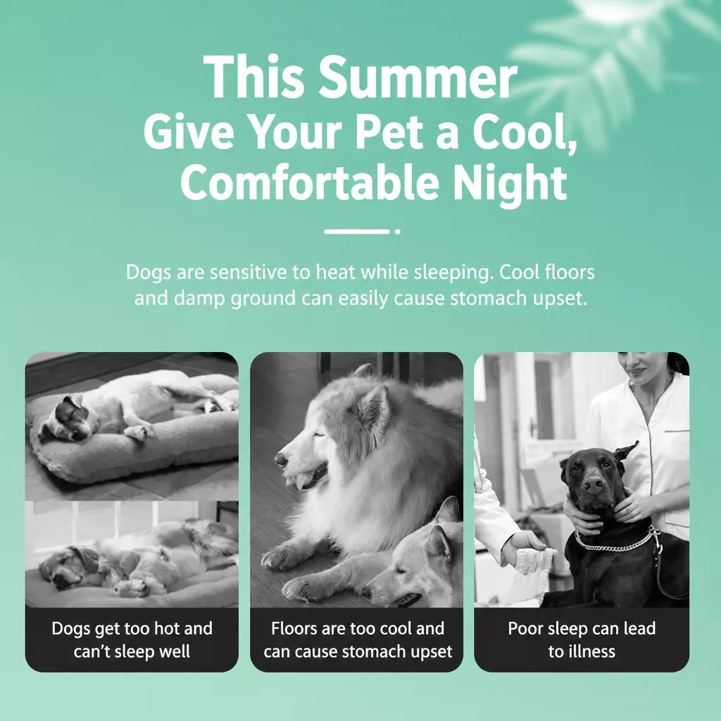 All-Season Pet Bed for Cats and Dogs