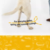 Lightweight Breathable Dog Harness and Leash
