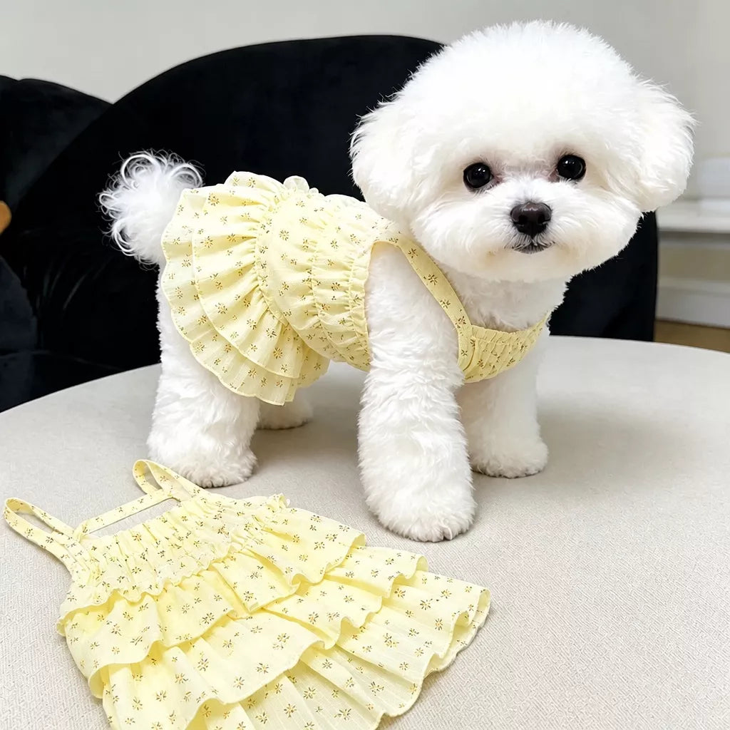 Cotton Pet Dress with Tiered Skirt