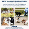 Reinforced Dog Training Leash