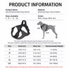 Lightweight Adjustable Nylon Dog Harness with Leash