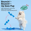 Interactive Squeaky Rope Tug Toy for Small and Medium Dogs