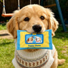 Tissue-Pull Squeaky Puzzle Toy for Small and Medium Dogs