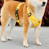 Nylon Dog Walking Harness
