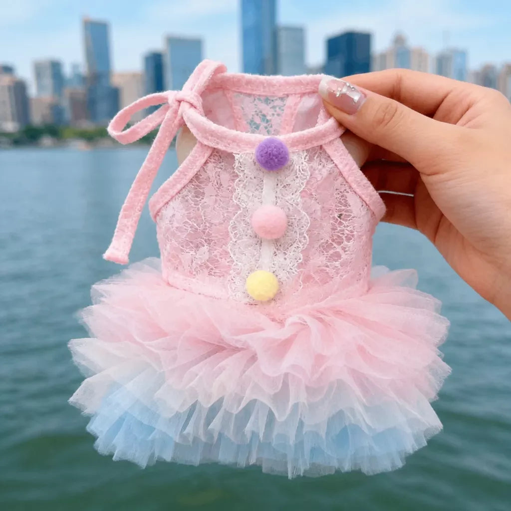 Lace Pet Dress with Gradient Full Skirt for Small Dogs and Cats