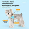 Nylon Round Rope Dog Leash for Small to Medium Dogs