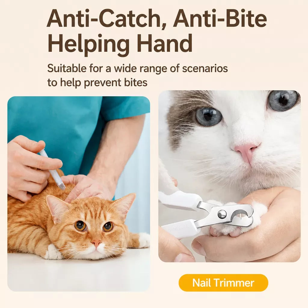 Clear Plastic Pet Recovery Cone for Cats