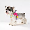 Y-Front Vest Dog Harness with Leash