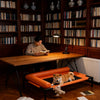 Elevated Pet Cot Bed for Dogs & Cats