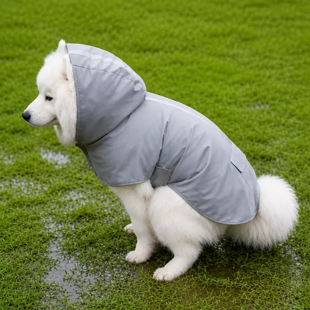 Dog Raincoat for Rainy-Day Walks
