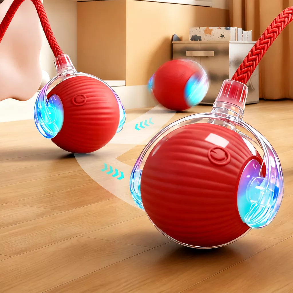 Interactive Cat Toy Ball