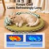 Round Woven Pet Bed with Removable Washable Mat