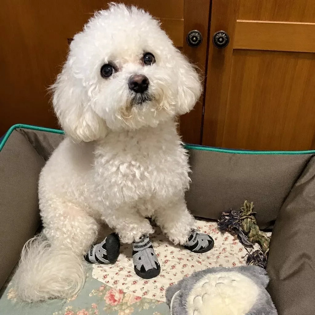 Small Dog Shoes with Soft Soles