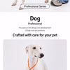 All-in-One Dog Collar and Leash