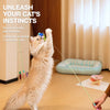 Retractable Cat Teaser Wand with Replaceable Toy Attachments