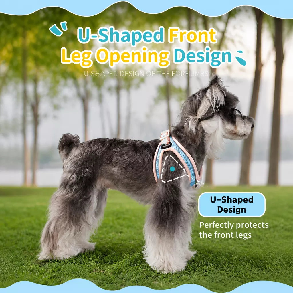 Adjustable Dog Harness with 4.6-ft Leash for Small Dogs