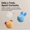 Squeaky Bouncy Ball Toy for Dogs