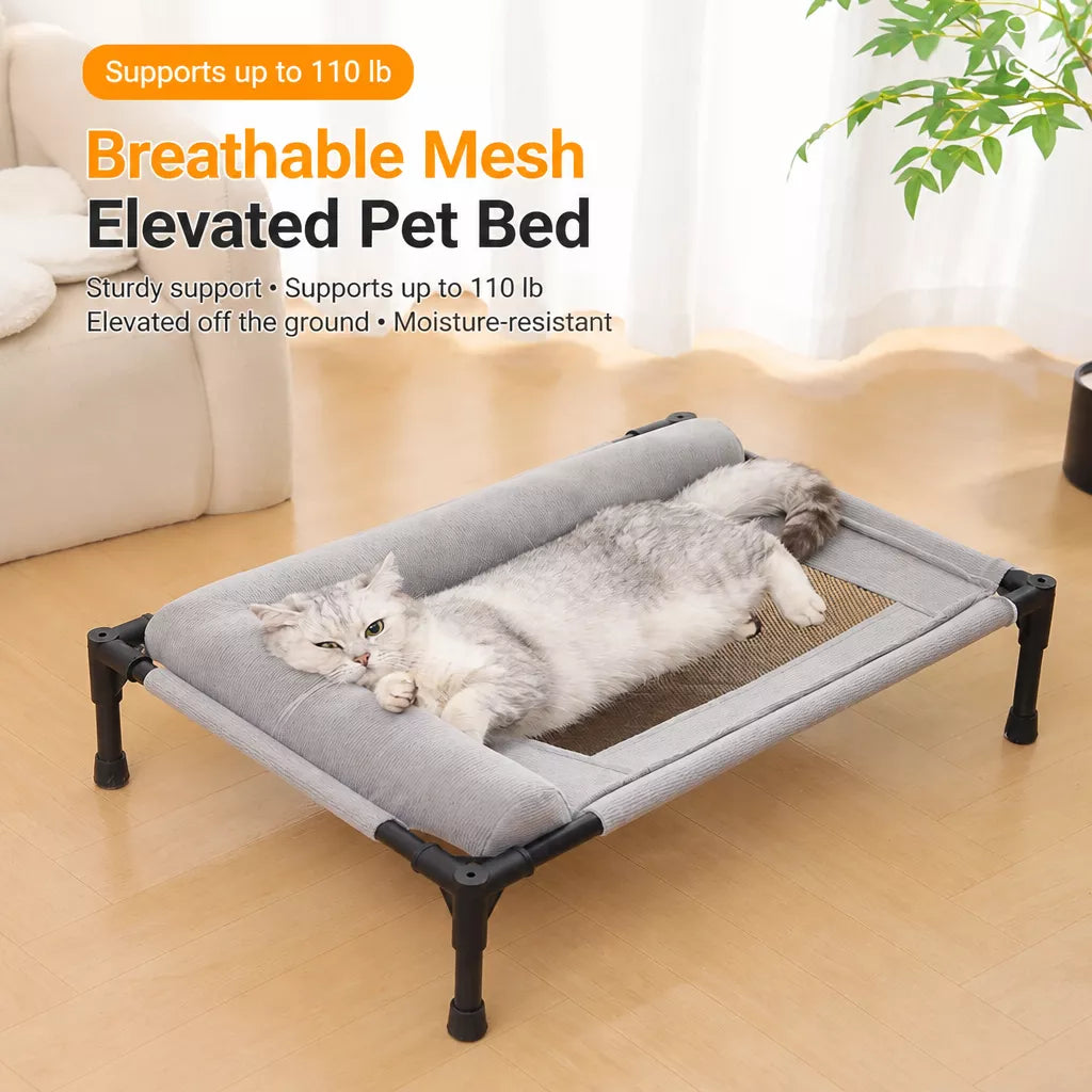 Elevated Pet Cot with Removable, Washable Cover