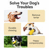 Corn-Shaped Chew Toy for Dogs
