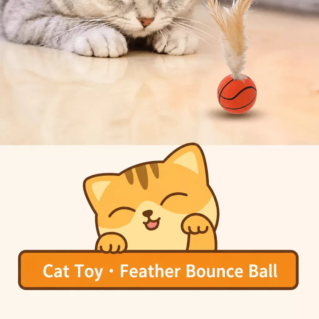 Cat Ball Toy with Feather Details