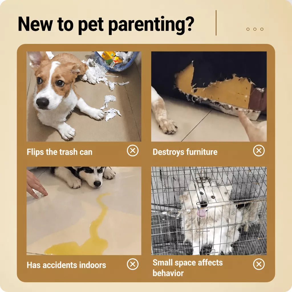 Stainless Steel Dog Crate with Tray