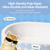 Deep Oval Cardboard Cat Scratcher Bed