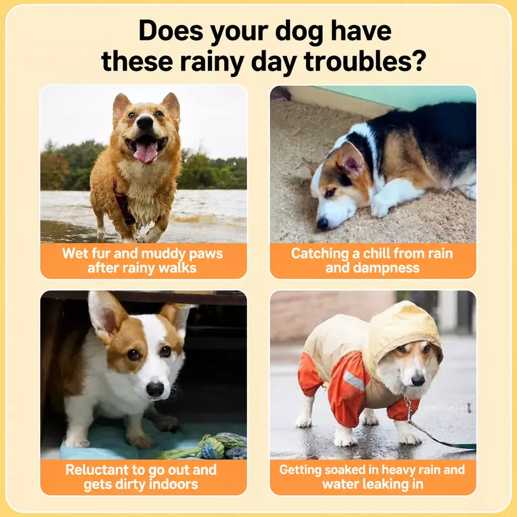 Waterproof Dog Raincoat for Small and Medium Breeds